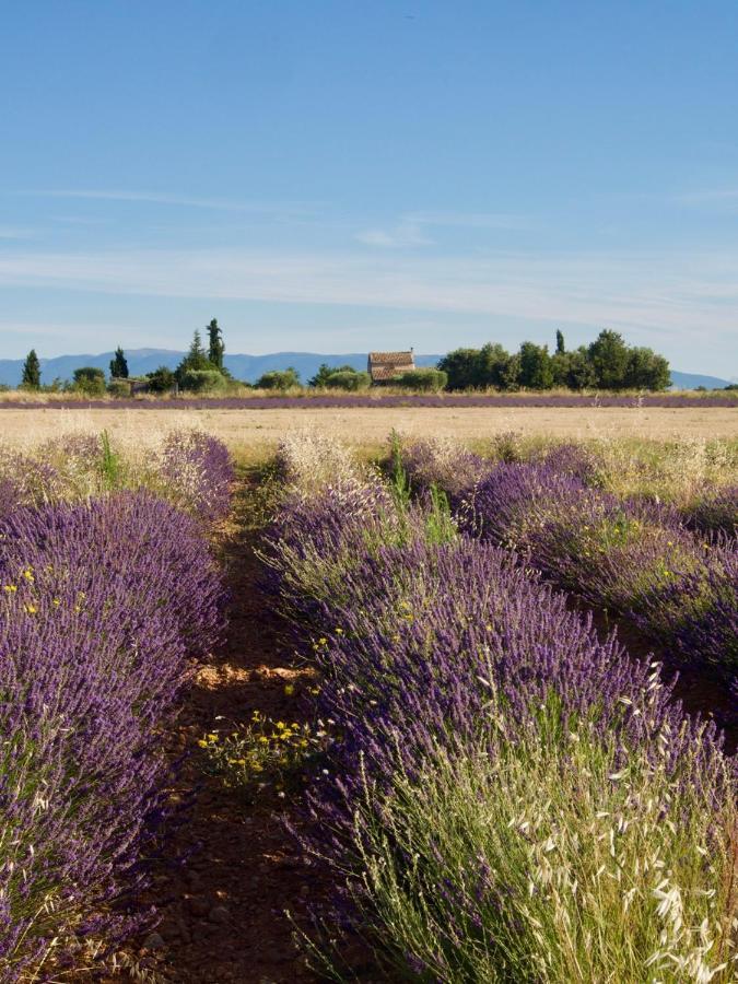 Oasis Tranquille - L'Evasion Au Verdon Gréoux-les-Bains Exteriér fotografie