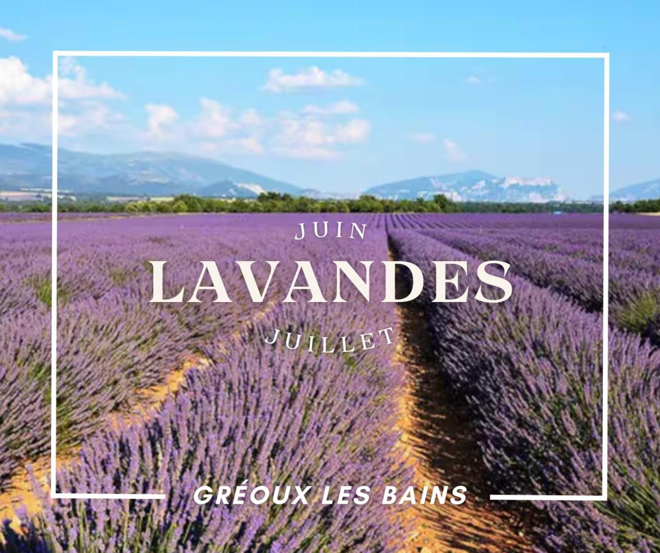Oasis Tranquille - L'Evasion Au Verdon Gréoux-les-Bains Exteriér fotografie